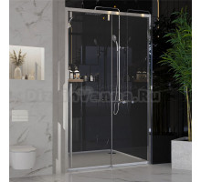 Душевая дверь в нишу Ambassador Intense 110021101IX 120 см, профиль хром