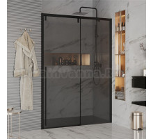 Душевая дверь в нишу Ambassador Intense 110022205IBB 160 см, профиль черный