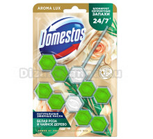 Туалетный блок для унитаза Domestos Power 5 белая роза и чайное дерево 2х50 г