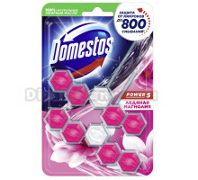 Туалетный блок для унитаза Domestos Power 5 ледяная магнолия дуо 2х55 г