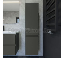 Шкаф-пенал для ванной Caprigo Forte 35 R графит