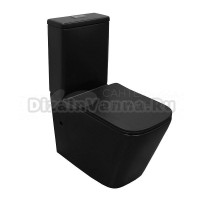 Унитаз-компакт напольный AZARIO Black King AZ-8303D матовый черный