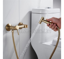 Гигиенический душ Shevanik S107G