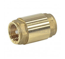 Обратный клапан Giacomini R60 R60Y008 осевой, 2\