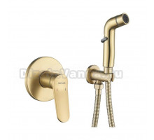 Гигиенический душ Shevanik S4305G