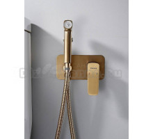 Гигиенический душ Shevanik S9905G