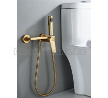 Гигиенический душ Shevanik S4305G-1