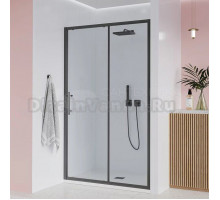 Душевая дверь в нишу Veconi Evo 100 GR 180 см, профиль брашированный графит, стекло прозрачное