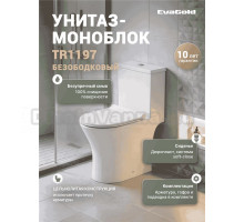 Унитаз-моноблок напольный EvaGold TR1197