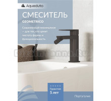 Смеситель для биде Aqueduto Geometrico GEO0545 оружейная сталь