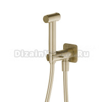 Гигиенический душ Newform X-Steel 316 69644X.59.098 pale gold