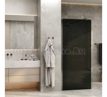 Душевая перегородка Wasserkraft Rur 30W 110 см, профиль хром, стекло тонированное