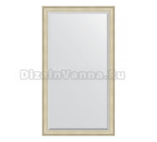 Зеркало напольное Evoform Exclusive Floor BY 6163 113x203 травленое серебро, в багетной раме, с фацетом