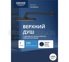 Верхний душ GROHE Tempesta 250 1jet с настенным душевым кронштейном 380 мм, матовый черный (266682430)