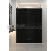 Душевая дверь в нишу Veconi Premium Alassio BB 140x200, профиль матовый черный, стекло тонированное