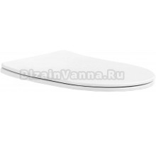 Крышка-сиденье SINTESI SIN-TS-RNK-161 с микролифтом