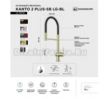 Смеситель для кухни Omoikiri Kanto 2 Plus-SB LG с гибким изливом
