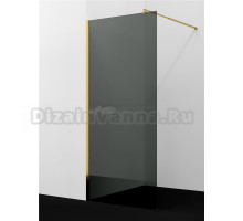 Душевая перегородка Wasserkraft Rur 30W 100 см, профиль глянцевое золото, стекло тонированное