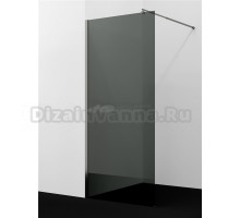 Душевая перегородка Wasserkraft Rur 30W 100 см, профиль графит, стекло тонированное