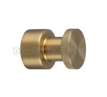 Крючок Splendy Passion PA401120VGM матовое золото, на шурупах