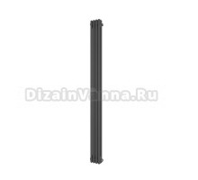 Радиатор стальной трубчатый Faberg Alivento 2 вертикальный, 2 трубы, 4 секции, дизайнерский, боковое проходное подключение, серый антрацит RAL 7016