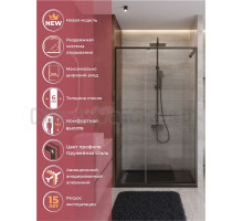 Душевая дверь в нишу Cezares Lux B-FS-11-120-C-GM 120 см, профиль оружейная сталь, стекло прозрачное