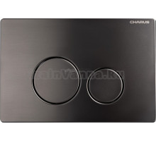 Кнопка смыва для унитаза CHARUS Robusto FP.330.GNM.05 нержавеющая сталь, цвет оружейная сталь