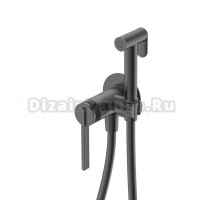 Смеситель с гигиеническим душем Германия DQ Bonn DA1704506 встраиваемый графит
