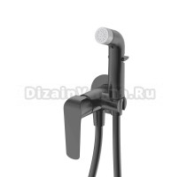 Смеситель с гигиеническим душем Германия DQ DüsseldorF DA1724506 встраиваемый графит