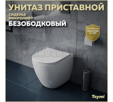 Унитаз приставной напольный Teymi Lina HD T40104