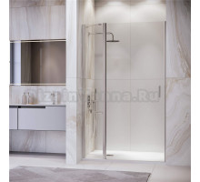 Душевая дверь в нишу RGW Leipzig LE-004 1200х1950 профиль хром, стекло прозрачное