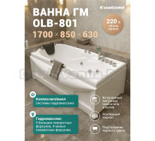 Акриловая ванна EvaGold OLB-801 170x85 см, встраиваемая, с гидромассажем, белая, с каркасом, с экраном, со смесителем, со сливом-переливом, с подголовником, с выдвижным душем и лейкой