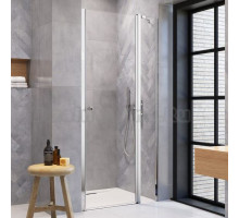 Душевая дверь в нишу Radaway EOS II DWJ 13799444-01R 120 R