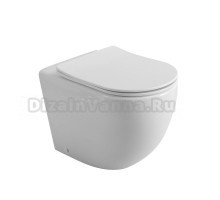 Унитаз приставной напольный BelBagno Sfera-r BB2141CBR/SC