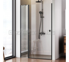 Душевая дверь в нишу AM.PM Sunny W87G-120-1P-BT 120 см