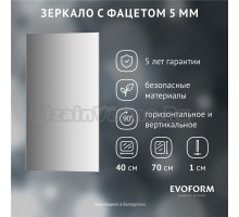 Зеркало Evoform Standard BY 0212 40x70