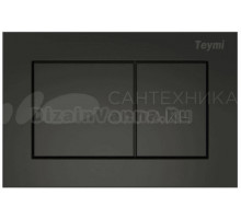 Кнопка смыва Teymi Aina T70013BM черный матовый