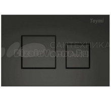 Кнопка смыва Teymi Kati T70702BM черный матовый
