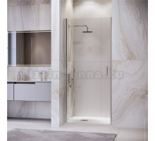 Душевая дверь в нишу RGW Leipzig LE-003 900х1950 профиль хром, стекло прозрачное