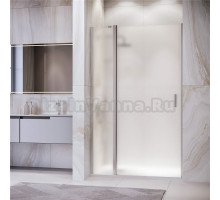 Душевая дверь в нишу RGW Leipzig LE-004 1000х1950 профиль хром, стекло матовое