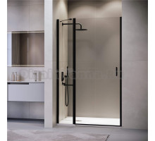 Душевая дверь в нишу RGW Leipzig LE-004-B 1000х1950 профиль черный, стекло прозрачное