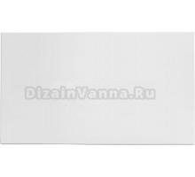 Экран DIWO Брянск 100
