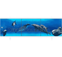 Экран МЕТАКАМ Ультралегкий АРТ 170 дельфины