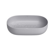 Накладная раковина для ванной комнаты Wellsee Chic Riviera 326809000: овальная раковина, ширина умывальника 49 см, цвет матовый серый