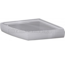 Поддон для душа Aquanet Delta L