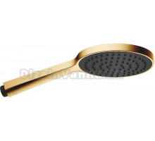 Душевая лейка Dorn Bracht Generic neutral 28017979-28 сатинированная латунь