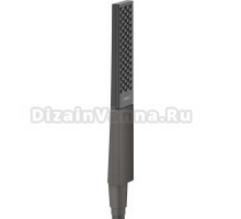 Душевая лейка Hansgrohe Rainfinity 100 26866340 шлифованный черный хром