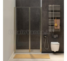 Душевая дверь в нишу Allen Brau Priority 3.31005.BA 100