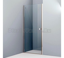 Душевая дверь в нишу IDDIS Ray RAY6CP9i69 90 см