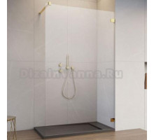 Душевая перегородка Radaway Essenza Pro 8 Gold Walk-in 100x200